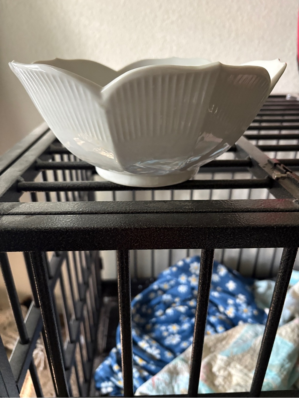 White Scalloped Ceramic Serving Bowl
